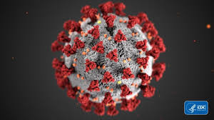 Coronavirus chủng mới ổn định hàng giờ trên các bề mặt vật dụng